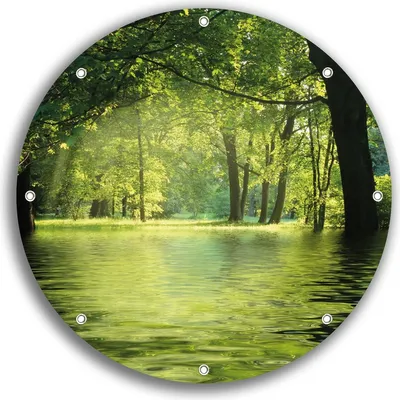 Produktbild von Wallario rundes Outdoor-Poster für Garten oder Balkon, Motiv Idyllischer See im Wald bei Sonnenschein, 30 cm Durchmesser