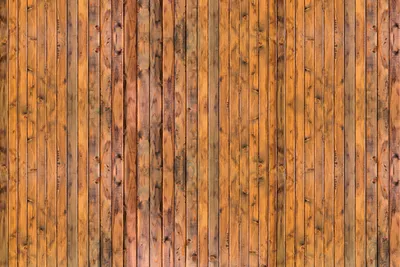 Produktbild von Fototapete - Wood Plank 375x250cm - Vliestapete