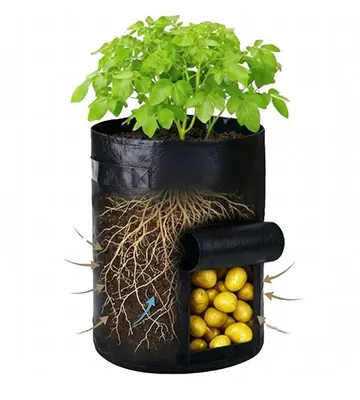Produktbild von Pflanzsack für Gemüse, Blumen und Pflanzen mit Fenster