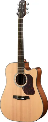 Produktbild von WALDEN D550CE Natura Dreadnought