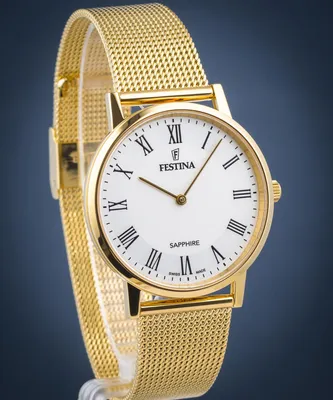 Image de Festina - F20022/4 - Montre-bracelet - Hommes