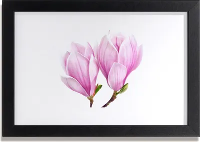 Produktbild von Bild 30x20 MDF-Rahmen Wandkunst Natur Blume Pflanze