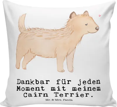 Produktbild von Mr. & Mrs. Panda Kissen 40x40 Cairn Terrier Moment - Weiß - Geschenk, für sofa, Polster, Dekokissen, Sofakissen, kuschelkissen