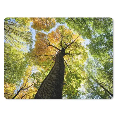 Produktbild von MuchoWow® Mauspad Mousepad Baum - Natur - Wald 40x30 cm - Mousepads - Maus Mat - Pad - Mausunterlage - Anti Rutsch