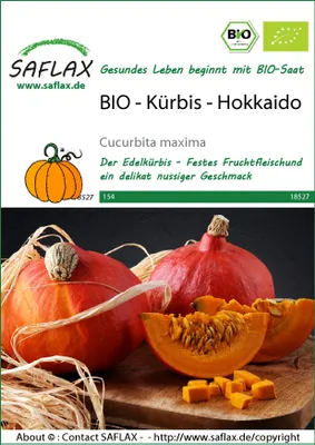 Artikelbild 1 von 'BIO Kürbis Hokkaido' aus der Kategorie Hokkaidokürbissamen