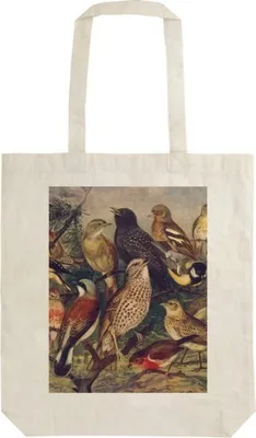 Obrázok produktu pre Látková taška Birds