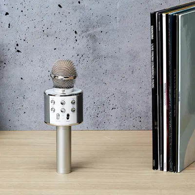 Image de Enceinte Micro Karaoke 3w