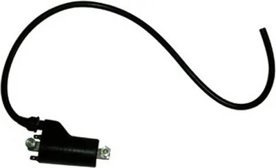 Obrázok produktu pre Zapaľovacia cievka SGR 12V 2 Faston 4,7 OHM rezistor
