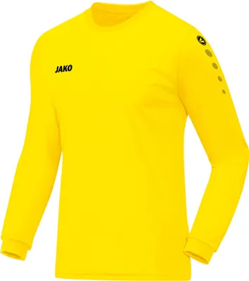 Produktbild von Trikot Team LA JAKO