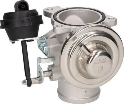 Produktbild von PIERBURG 7.24809.17.0 AGR-Ventil mit Dichtung für VW Golf IV Schrägheck (1J1) Abgasrückführungsventil