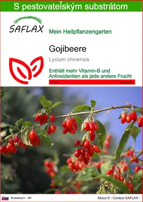 Obrázok produktu pre SAFLAX - Gojibeere - Lycium chinensis - 200 Semená - S pestovateľským substrátom bez klíčkov