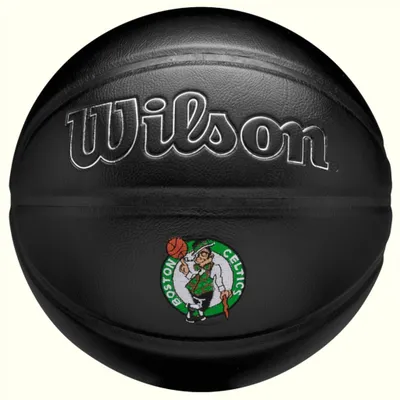 Image de Balons Wilson WZ4026402XB