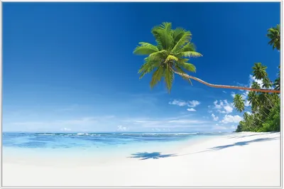 Produktbild von Wallario Wandbild Weißer Sandstrand am Meer - Ein Traum unter Palmen, Größe: 61 x 91,50 cm, Poster mit weißem Aluminiumrahmen