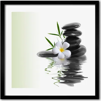 Produktbild von Bild - 50 cm x 50 cm - MDF - Rahmen, Wandkunst - Orchidee und Steine