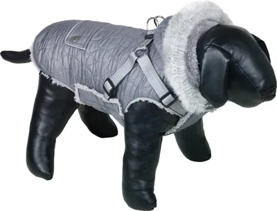 Produktbild von Nobby Hundemantel Polar 2in1 grau, Rückenlänge: 26 cm