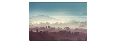 Produktbild von Muralo Fototapete Wald im Nebel 135 (B) x 90 (H) cm Vlies Tapete Wandtapeten Bäume Wohnzimmer Schlafzimmer moderne Wandbilder XXL Landschaft Panorama Wand Dekoration
