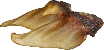 Produktbild von 10 Stück Schecker - Rinderohren mit Muschel - naturbelassen - luftgetrocknet - fettarm
