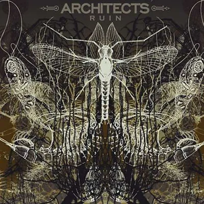 Produktbild von Architects (UK) - Ruin