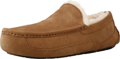 Zdjęcie produktu dla Ugg M Ascot Jasnobrązowy