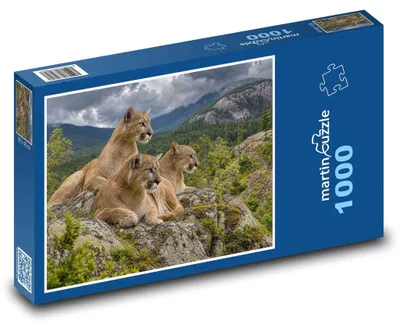 Obrázek produktu pro Puzzle 1000 Tři pumy na skále - martinpuzzle