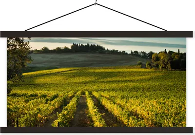 Produktbild von MuchoWow® Textilposter Toskana - Landschaft - Wein 90x45 cm mit schwarzem Rahmen - Klemmleisten