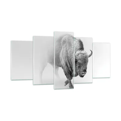 Produktbild von Bilder auf glas - 5 Teile - Wisent Schwarzweiß Licht - 160x85cm - Glasbilder - Wandbilder - Bilder - zum Aufhängen bereit - Wanddekoration aus Glas - Glas Bilder - Wandbild auf Glas - GEA160x85-4418