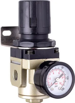 Immagine prodotto di Ar3000-02 con manometro da 1/4"