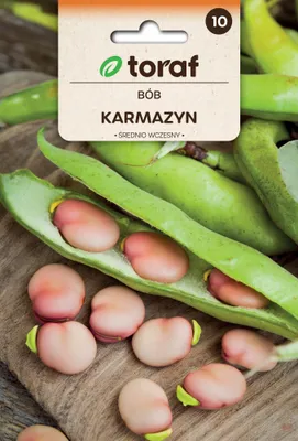 Produktbild von Toraf Gemüsesamen Karminrote Saubohnen, Packung 30g