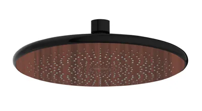 Obrázek produktu pro Regenduschkopf Watersaving Wood
