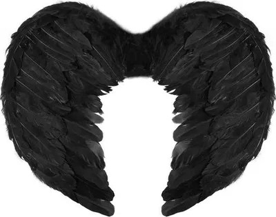 Produktbild von FLÜGEL Fallen Angel SCHWARZER Rabe 45x35cm