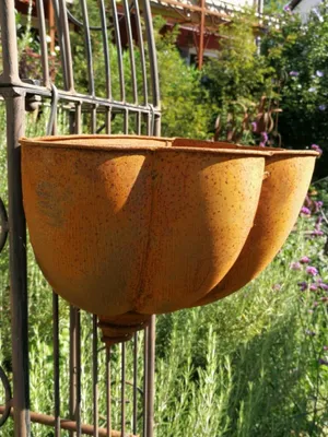 Produktbild von Edelrost Wandkorb Muschel