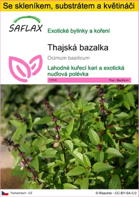Obrázek produktu pro SAFLAX Kultivační sada - thajská bazalka - Ocimum basilicum - 200 Semena - S mini skleníkem, pěstebním substrátem a 2 květináči