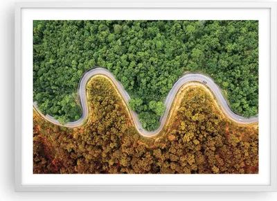 Produktbild von Gerahmtes Poster - Weißer Rahmen - Luftaufnahmen Weg Wald - 70x50 cm - Wand Bild - Wanddeko - Wandbilder - Kunstposter - Wandposter - Bilderrahmen - Bilder - Kunstdruck - P2WAA70x50-4659