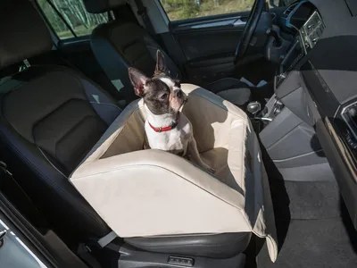 Produktbild von Hundeautositz und Hundedecke für die Rückbank, Transportbox für Katzen und Hunde, Hundekorb, Hundegeschirr, Hundebett, Hundekörbchen (Beige)