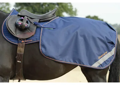 Obrázek produktu pro Bucas Therapy Riding Rug Bucas Therapy Quarter Sheet Navy/Orange 125