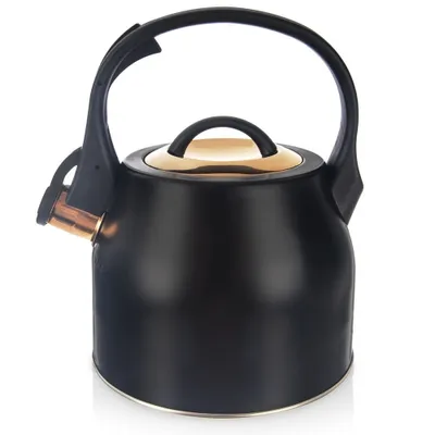 A black kettle with gold accents on a white background.