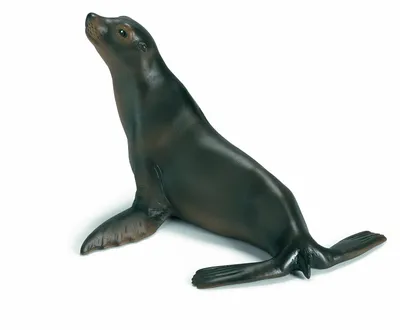 Produktbild von Schleich Seelöwe