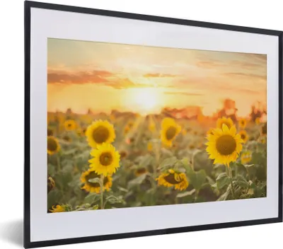 Produktbild von MuchoWow® Gerahmtes Poster Sonnenblume - Sonne - Blumen 40x30 cm - Poster mit Schwarzem Bilderrahmen Wandposter Rahmen Foto Bilder - Bilderrahmen - Poster im Rahmen