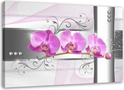 Produktbild von Leinwandbild orchideen blumen natur rosa 60x40 cm Feeby rosa wandbild bereit zum aufhängen