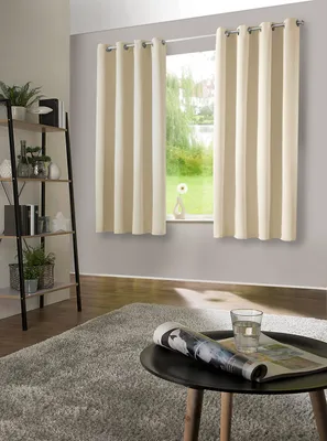 A living room scene with curtains, a shelf, and a coffee table.