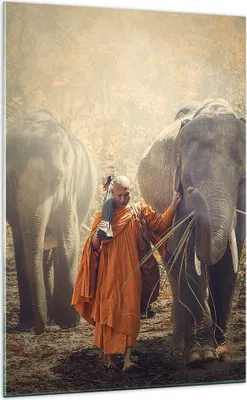 Produktbild von Bilder auf glas - Einteilig - Elefant Mönch Dschungel - 70x100cm - Glasbilder - Wandbilder - Bilder - zum Aufhängen bereit - Wanddekoration aus Glas - Glas Bilder - Wandbild auf Glas - GPA70x100-3453