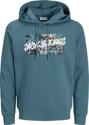 Produktbild von JACK & JONES Herren Hoodie JJHawaii Shape Sweat Hood