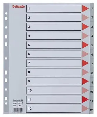 Immagine prodotto di Divisori in plastica Esselte 1-12 maxi grigio