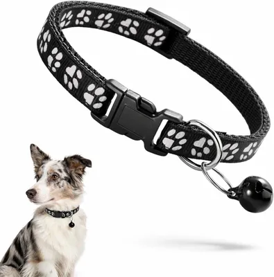 Imagen del producto de Collar de plástico  para gatos y gatitos, de 2,5 cm de ancho, con cascabel