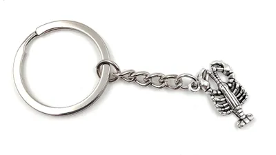 Image de Onwomania Scorpion Animal Vénéneux Porte-clés métal porte-bonheur en boîte cadeau alu, idéal pour offrir en cadeau