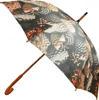 Produktbild von Regenschirm - Stockschirm - Tannenzapfen Schirm