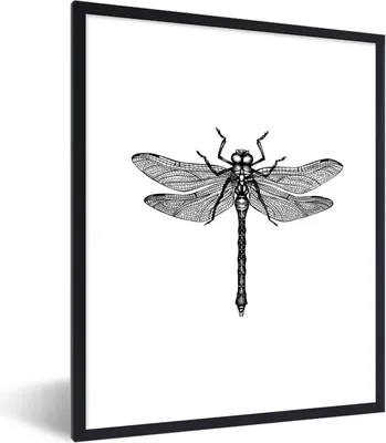 Produktbild von MuchoWow® Gerahmtes Poster Libelle - Insekten - Retro - Schwarz und weiß 30x40 cm - Poster mit Schwarzem Bilderrahmen Wandposter Rahmen Foto Bilder - Wanddeko - Kunstdrucke