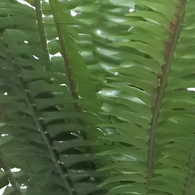 Produktbild von Warentuin Producten