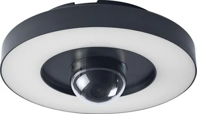Obrázek produktu pro Venkovní nástěnné a stropní svítidlo OSRAM SMART+ + kamera, teplé bílé světlo LED (3000K), vysoce kvalitní polykarbonátový kryt v tmavě šedé barvě, integrovaný reproduktor, paměťová karta, inteligentní technologie WIFI
