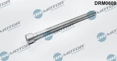 Zdjęcie produktu dla Śruba Pompowtryskiwacza Vw 2.0Tdi (M6X88)